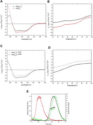 Structure based design of effective HtpG-derived vaccine antigens against M. tuberculosis